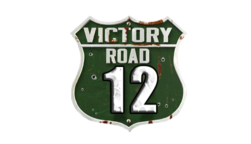 TNA Victory Road 12